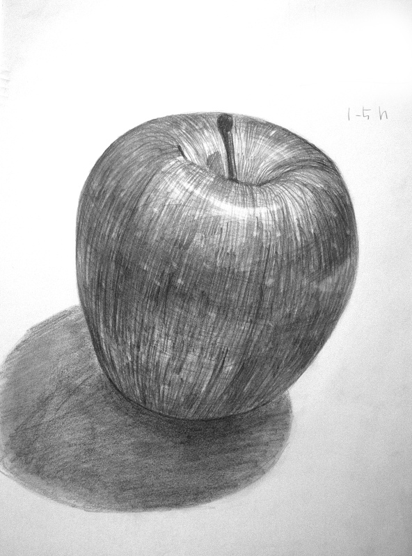 りんご（芯ホルダー画）